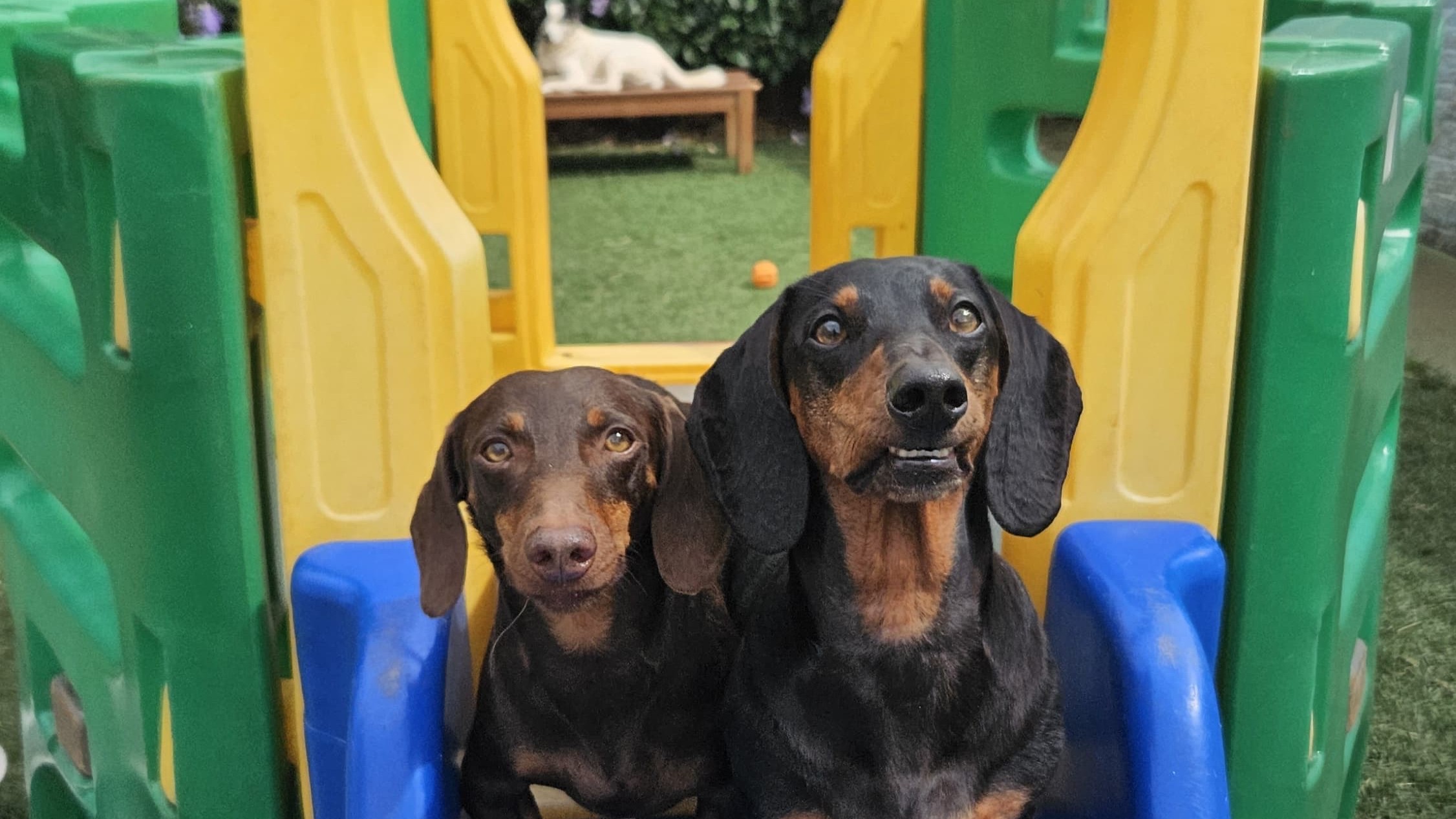 Aulunos Leandro e João Paulo